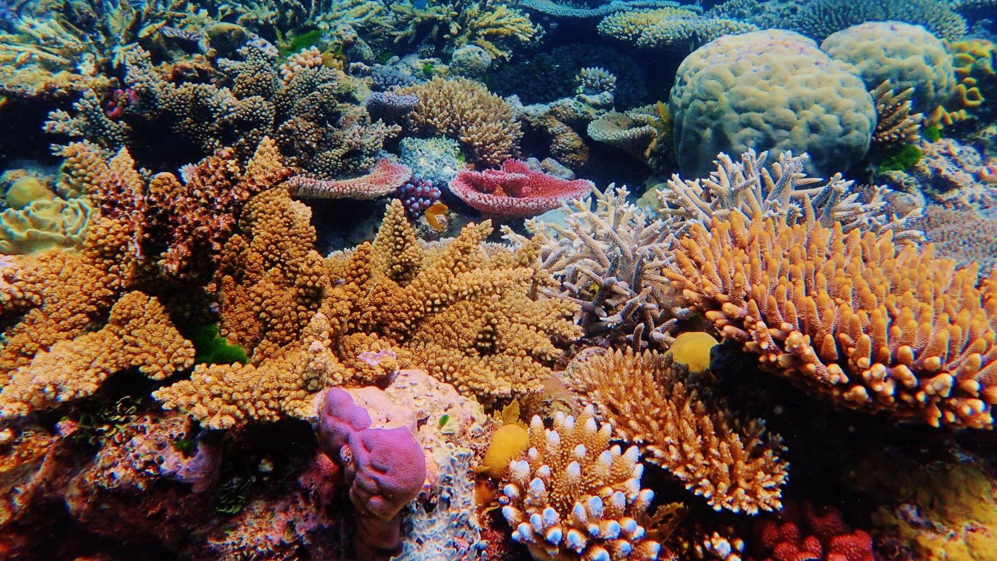 24c62500 7362 11f0 ab1c fb449de285a1